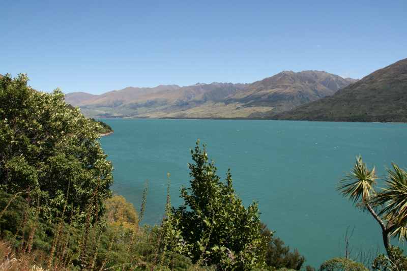 Nieuw-Zeeland 2011 - 1580